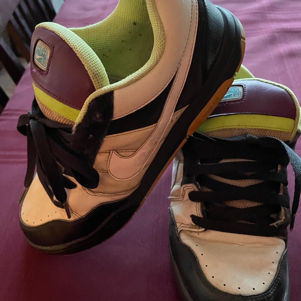 Nike Skate Shoes
